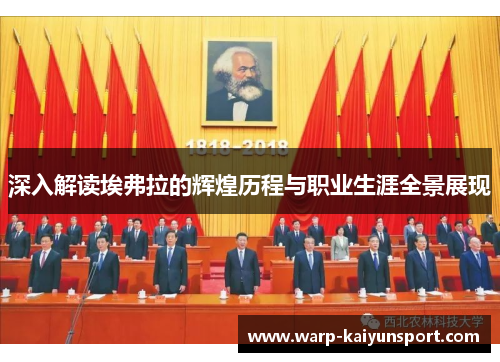 深入解读埃弗拉的辉煌历程与职业生涯全景展现