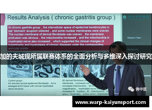 加的夫城现所属联赛体系的全面分析与多维深入探讨研究 加的夫城现所属联赛体系的全面分析与多维深入探讨研究