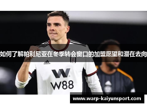 如何了解帕利尼亚在冬季转会窗口的加盟愿望和潜在去向