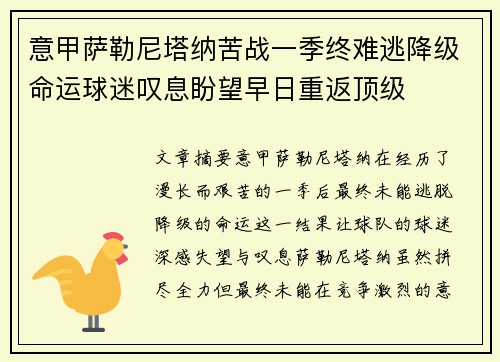 意甲萨勒尼塔纳苦战一季终难逃降级命运球迷叹息盼望早日重返顶级
